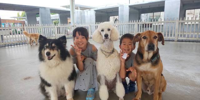 夏イチ ツーショット大作戦フォトコンテスト応募作品一覧 那須どうぶつ王国